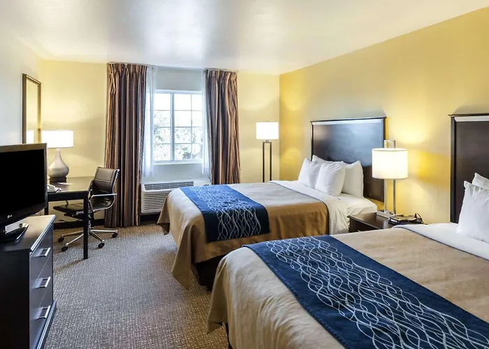 Comfort Inn & Suites Texas Hill Country