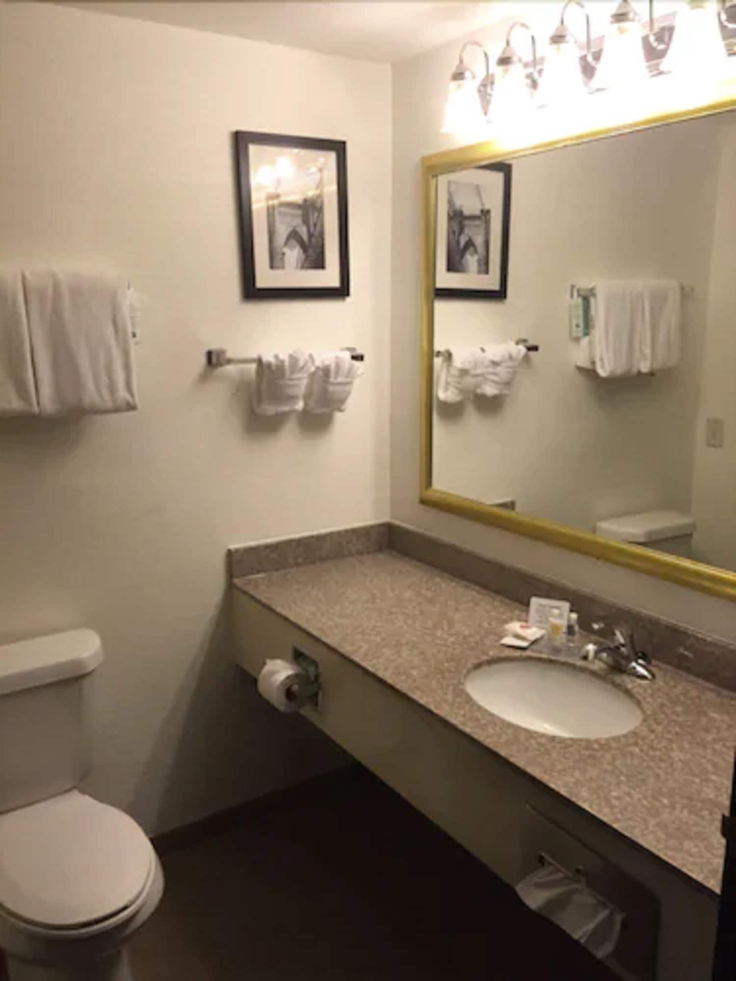 Comfort & Texas Hill Country Hotel 3*